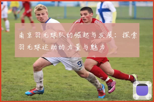 南京羽毛球队的崛起与发展：探索羽毛球运动的力量与魅力